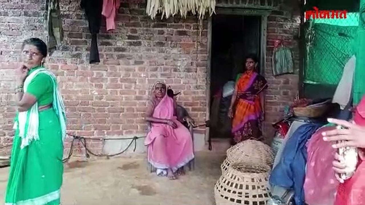 बापरे!  एका मांजरीसाठी बिबट्या घरात घुसला