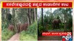 ಸಕಲೇಶಪುರದಲ್ಲಿ ತಪ್ಪದ ಕಾಡಾನೆಗಳ ಹಾವಳಿ | Sakleshpura | Elephants | Public TV