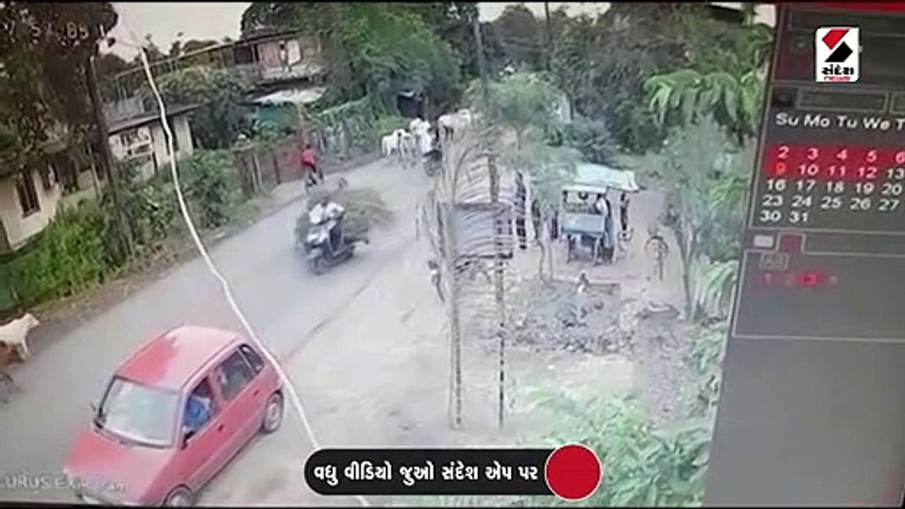 વલસાડના ડુંગરી નજીક ટ્રેન અડફેટે 24 ગૌમાતાના મો...