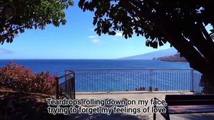 Feelings - Morris Albert (Lyrics)