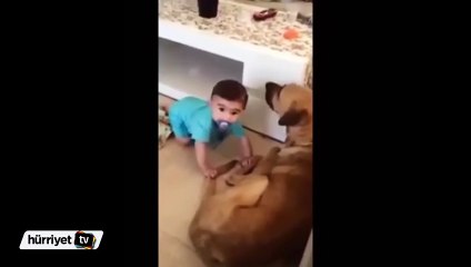 Köpek oyun oynarken bebeğe böyle saldırdı