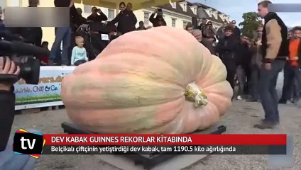 Dev kabak Guinnes Rekorkar Kitabı'nda