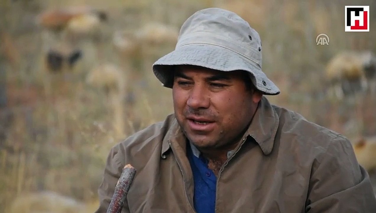 İlçede başkan, merada çoban