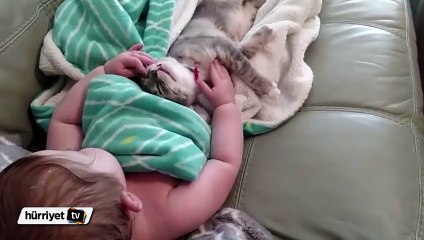 Kediyi uyandırmaya çalışan minik bebek