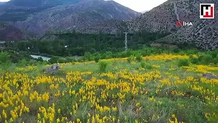 Erzurumlu başkandan yöresel lezzetler klibi
