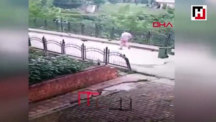 Belediye işçisinin yavru köpeği faraşa koyup dereye attığı anlar kamerada