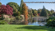 Autumn photos at Sheffield Park in East Sussex 2022