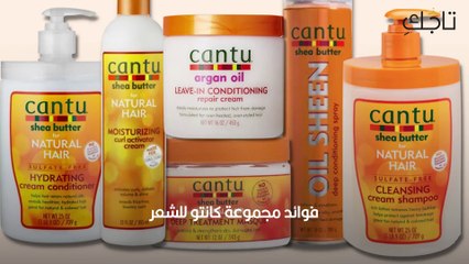 فوائد مجموعة كانتو للشعر