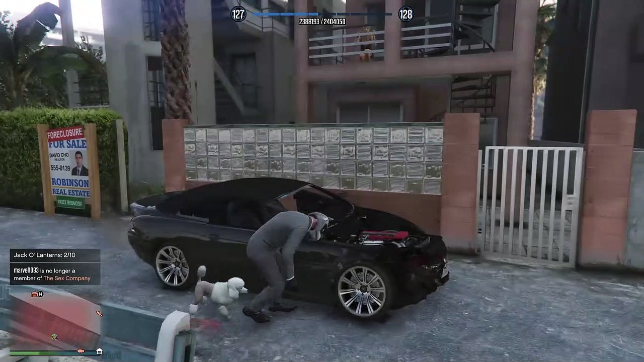 poodle.mp4