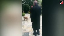 Berat Albayrak Cumhurbaşkanı Erdoğan'ın sevimli köpeğe yiyecek verdiği anları paylaştı