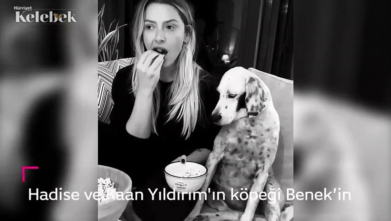 Hadise ve Kaan Yıldırım'ın köpeği Benek’in patlamış mısır keyfi..