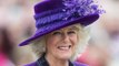 Queen Consort: Camilla 'could be coronated using a little-known crown'