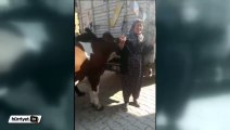 Yıldırımda inekleri telef olan yaşlı çifte yardım