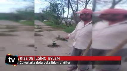 Rize'de çukurlarla dolu yola fidan diktiler