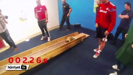 Dünyanın en hızlı kaplumbağası