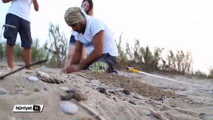 Caretta carettaların gönüllü "ebe"si