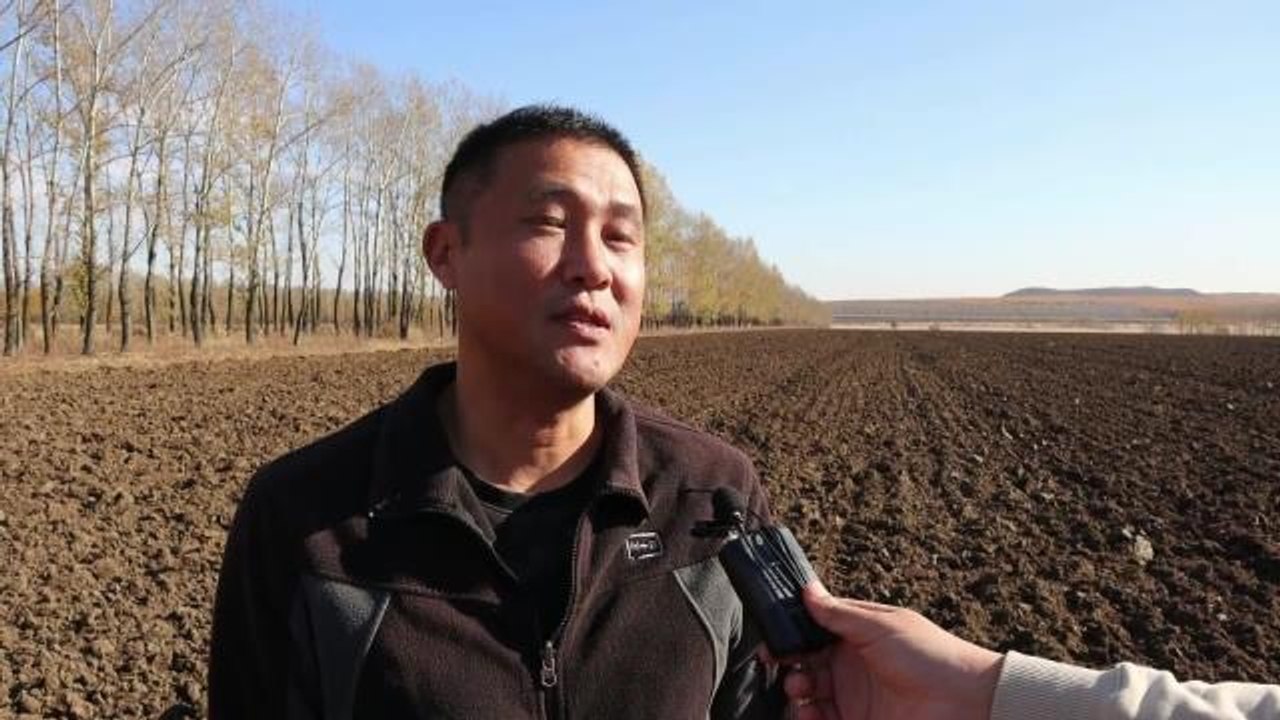 Çin'in Heilongjiang Eyaletinde Sonbahar Hasadı Tüm Hızıyla Sürüyor