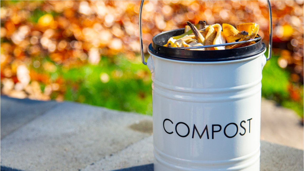 Das beste Hausmittel für den Garten: So wird Laub zu Kompost