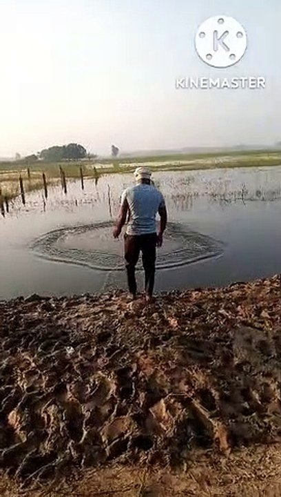 original videos
