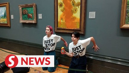 Download Video: UK climate change protesters throw soup at van Gogh's 'Sunflowers'