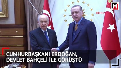 Cumhurbaşkanı Erdoğan, Devlet Bahçeli ile görüştü