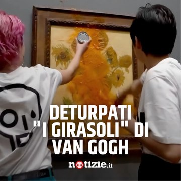 Zuppa contro il quadro Girasoli di Van Gogh: la protesta dei militanti ecologisti a Londra