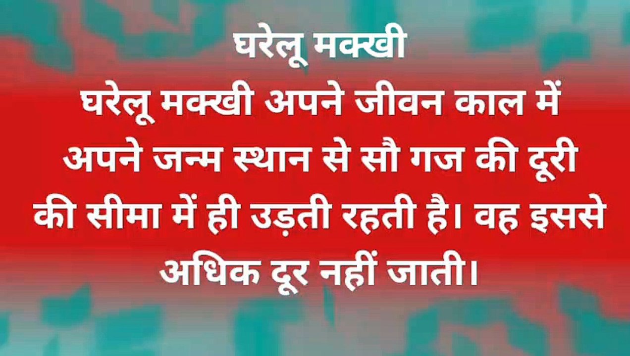 जीव-जन्तु से जुड़ी रोचक तथ्य, Interesting fact in Hindi