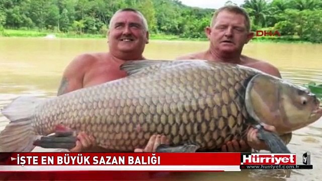 DÜNYANIN EN BÜYÜK SAZAN BALIĞI AVLANDI