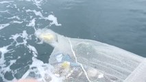 Los plásticos cubren las aguas del Golfo de Vizcaya