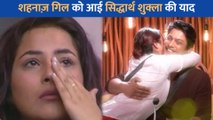 Shehnaaz Gill को आई Sidharth Shukla की याद, गाना गाकर बयां किया दिल का हाल