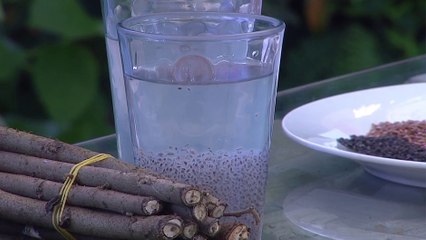 tn7-fibras-y-mucilagos-terapeuticos-141022