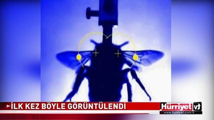 İLK KEZ BÖYLE GÖRÜNTÜLENDİ