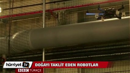 Doğayı taklit eden robotlar