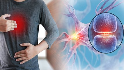 नसों में गैस क्यों बनती है , नसों मे गैस बनने का क्या कारण है | Boldsky *Health