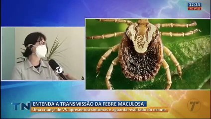 Entenda a transmissão da febre maculosa
