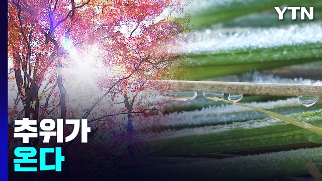 [날씨] 다음 주 기온 '뚝'... 영하권 초겨울 추위 온다 / YTN