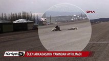 Ölen arkadaşının başından bir an olsun ayrılmadı