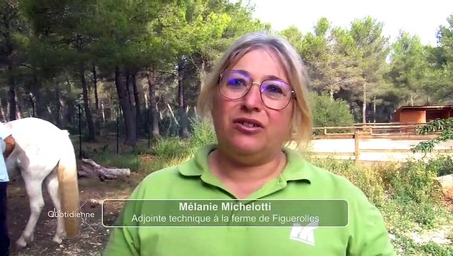 LE JOURNAL DE LA QUOTIDIENNE : Le journal du vendredi 14 octobre 2022