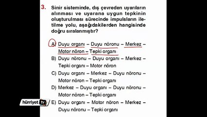 BİYOLOJİ SORULARININ ÇÖZÜMLERİ