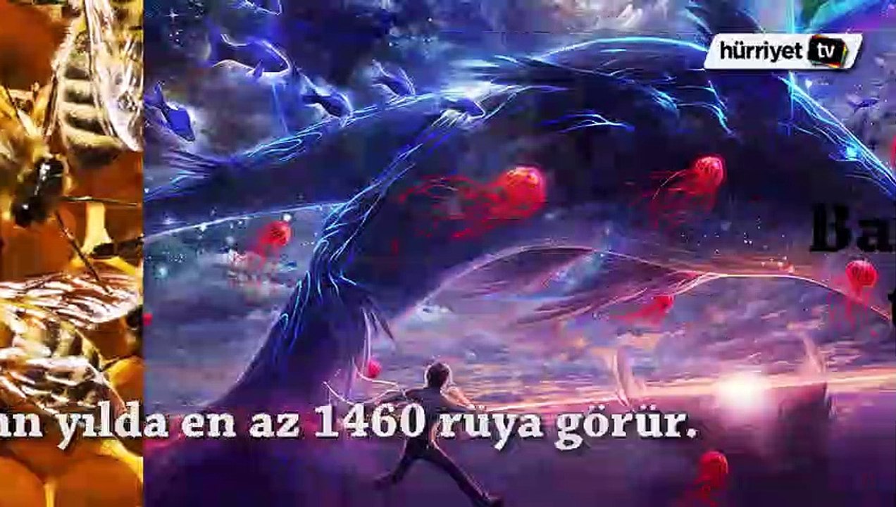 Muhtemelen bilmediğiniz 15 şaşırtıcı bilgi