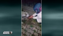 Sokak köpeğine eliyle su içirdi