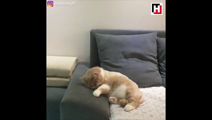 Rüyada bisikletle giderken kaza yapmak (Temsili)