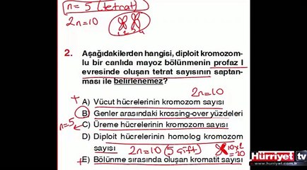 BİYOLOJİ SORULARININ ÇÖZÜMLERİ