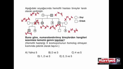 BİYOLOJİ SORULARININ ÇÖZÜMLERİ