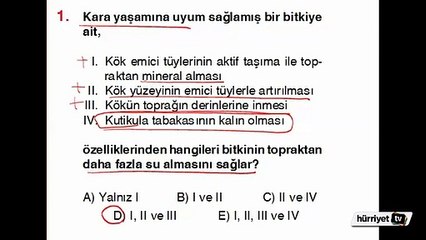 BİYOLOJİ SORULARININ ÇÖZÜMLERİ