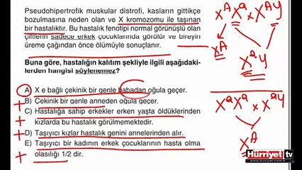 BİYOLOJİ SORULARININ ÇÖZÜMLERİ