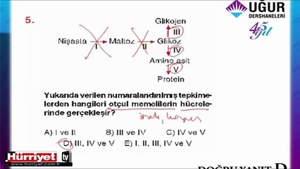 BİYOLOJİ SORULARININ ÇÖZÜMLERİ