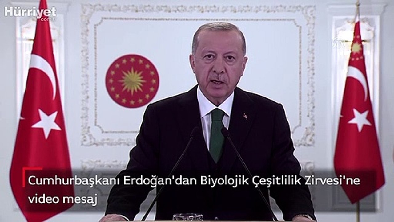 Cumhurbaşkanı Erdoğan'dan Biyolojik Çeşitlilik Zirvesi'ne video mesaj