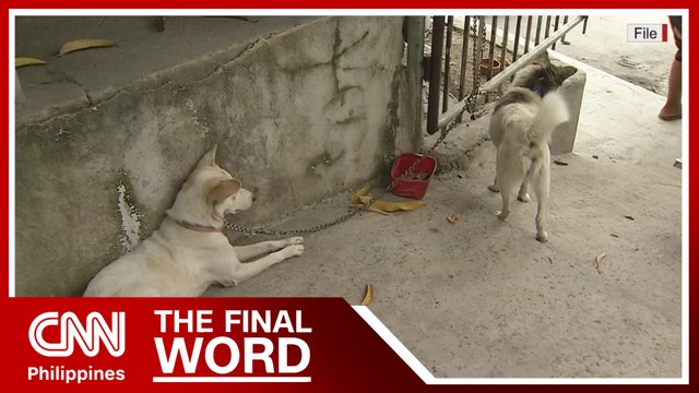 No. of deaths due to rabies increased this year