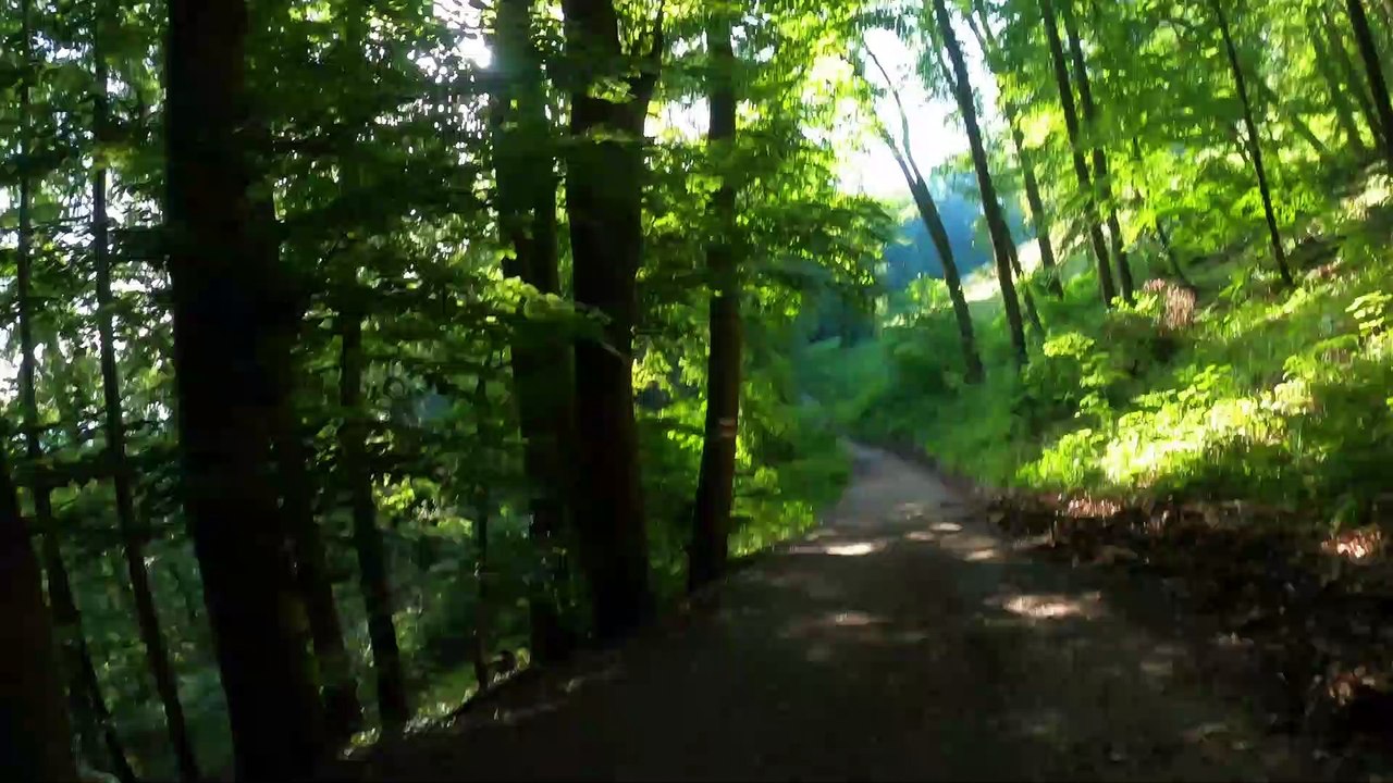 Wien am Rad: Vom Hermannskogel zur Agneswiese downhill